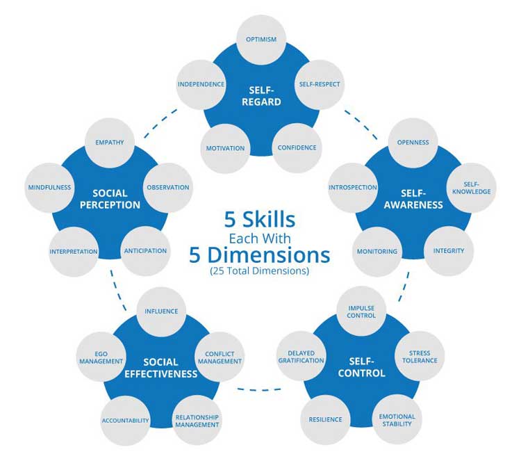 5 emotional intelligence skills
