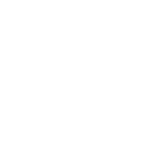 synergistx